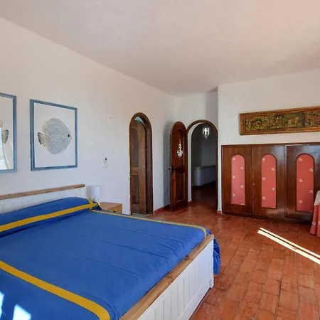 Antica * 斯塔拉帝