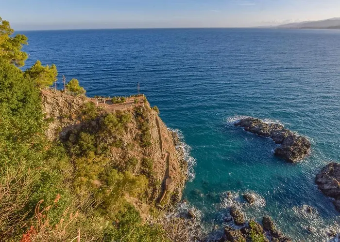 Antica * 斯塔拉帝