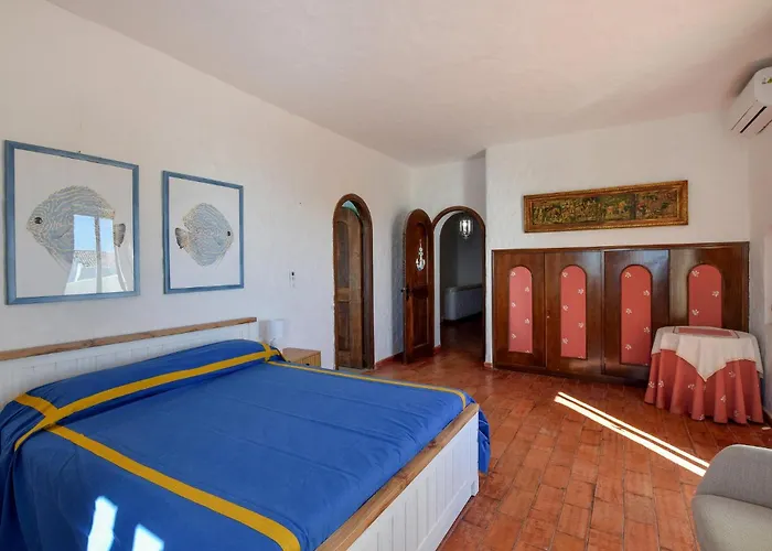 Antica * 斯塔拉帝